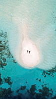$field.value